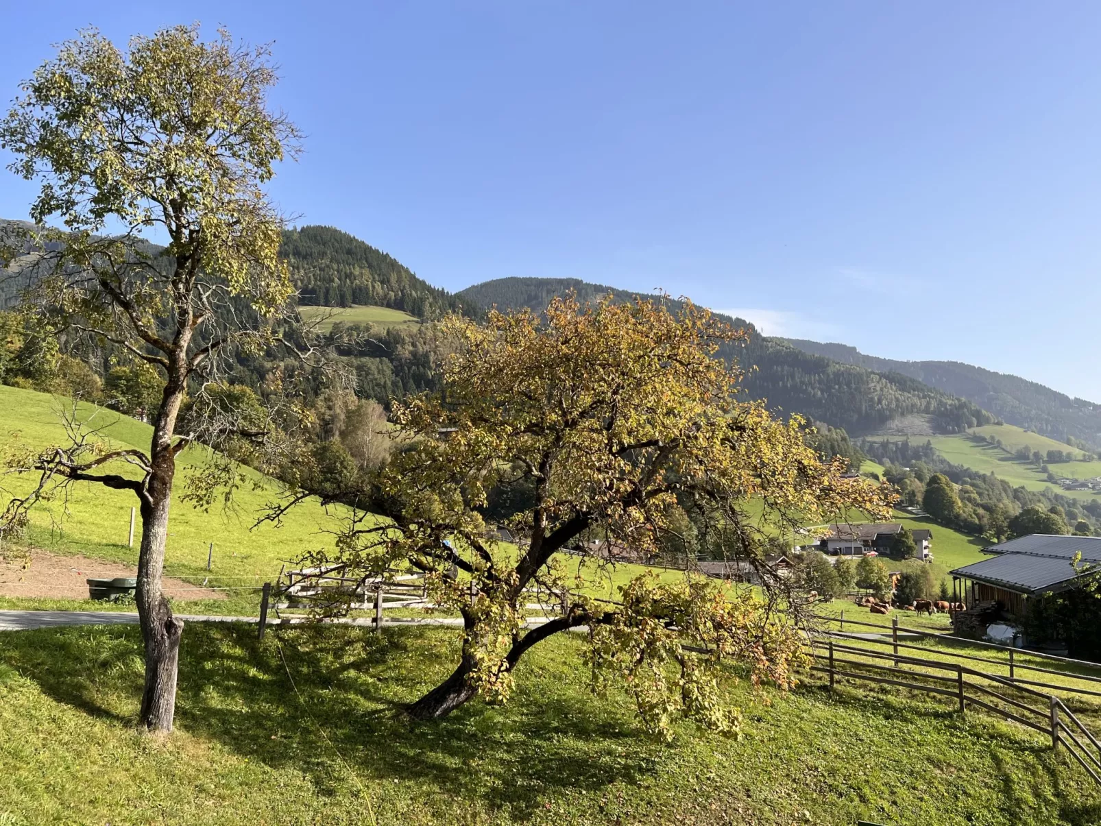 Bauernhof Gasteg (PID230)-Buiten