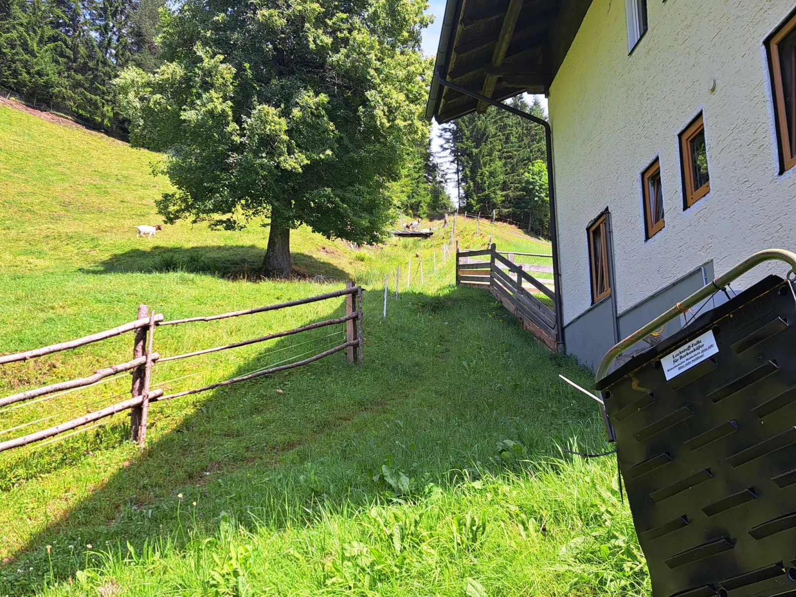 Dachstein-Buiten