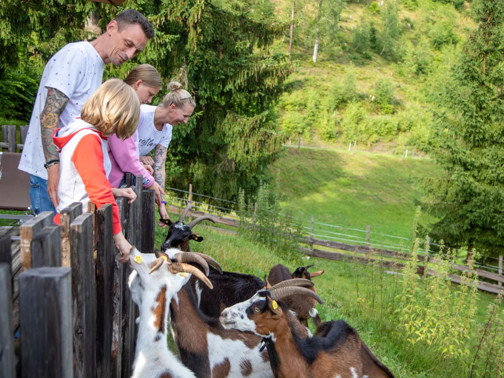 Gipfelstürmer-Buiten