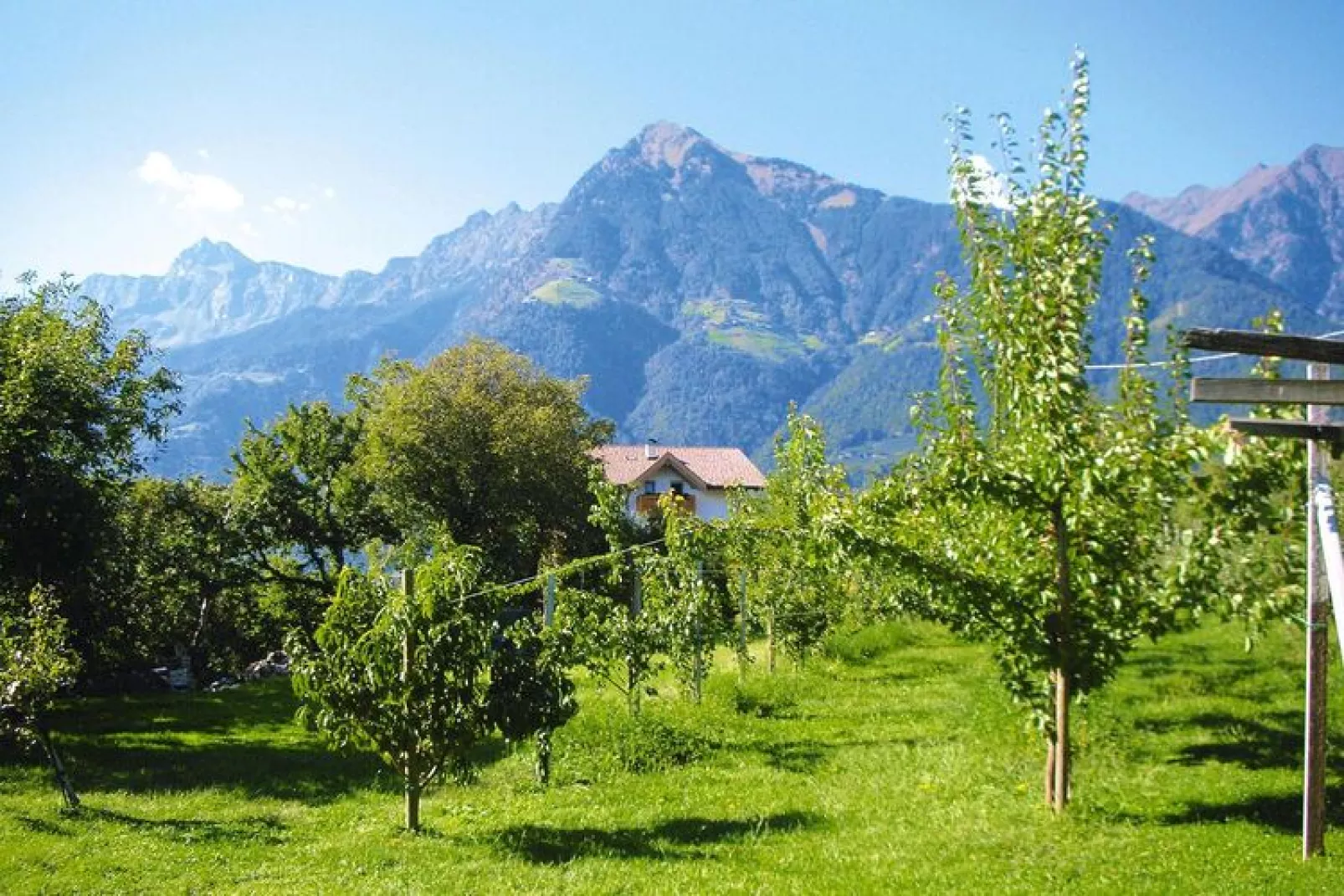 Apartments Etschland - Bilo-Uitzicht zomer