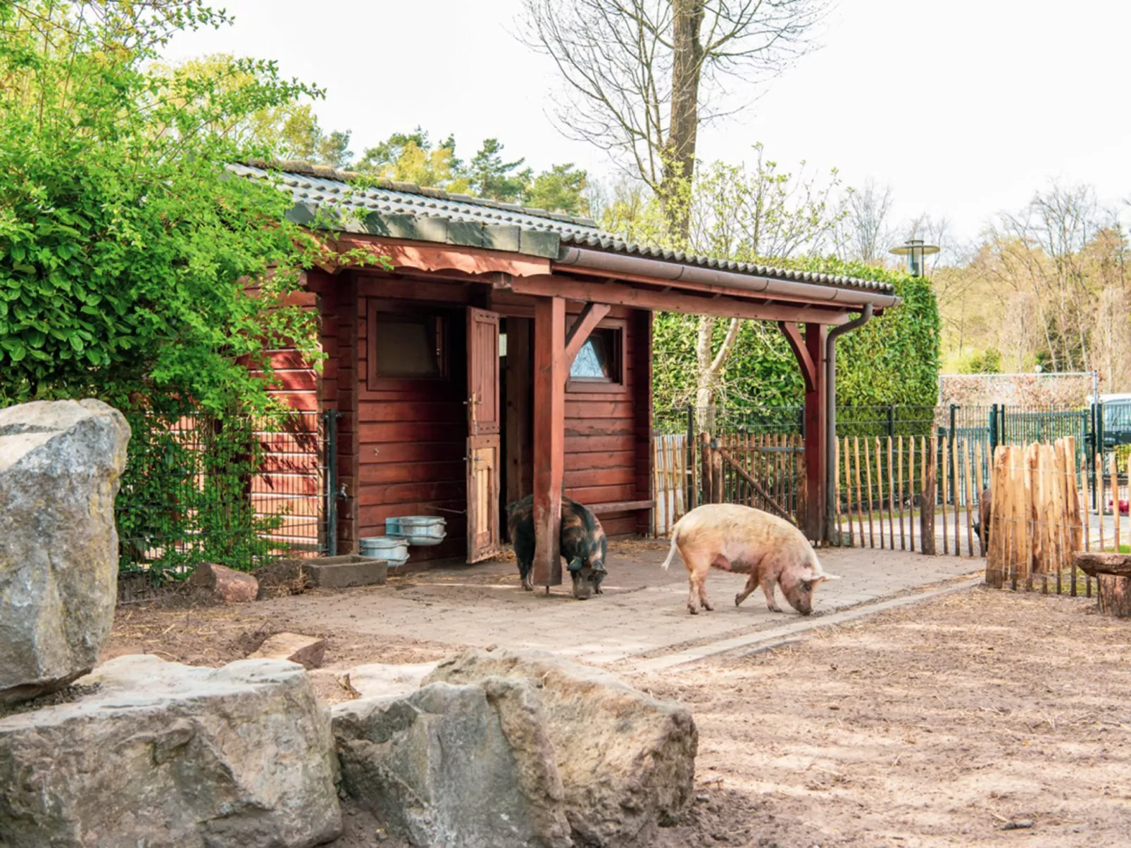 Tiny Lodge 4-Buiten