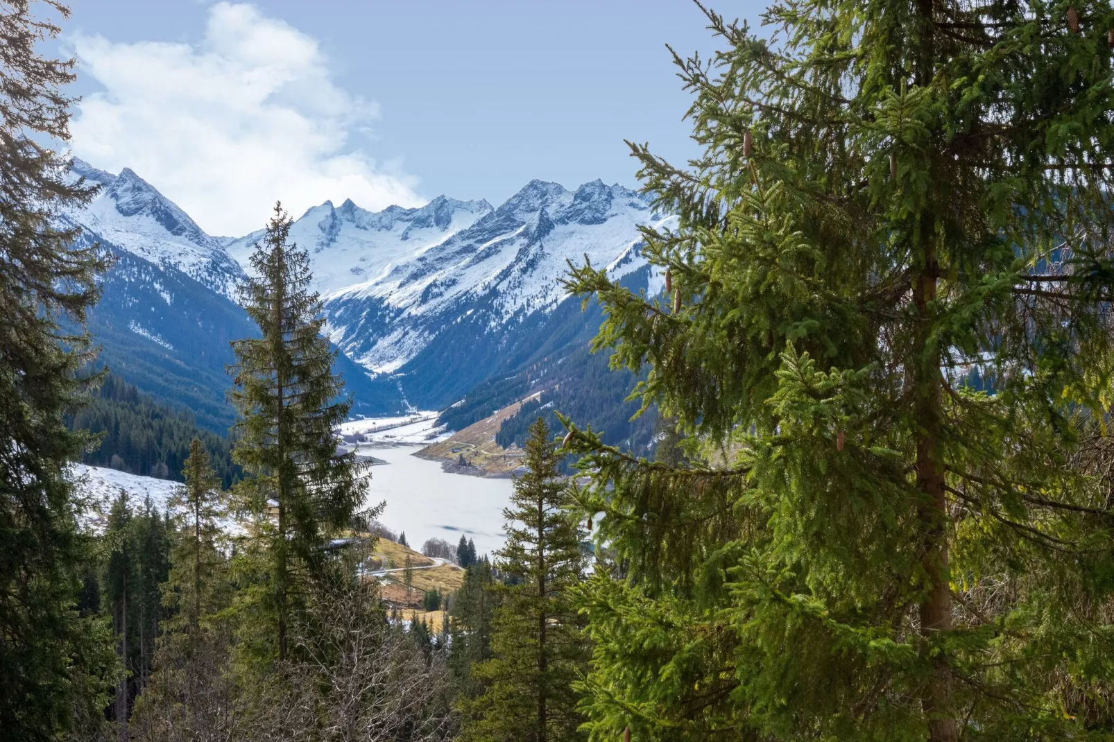 Appartement Zillertal Alpen C-Uitzicht zomer