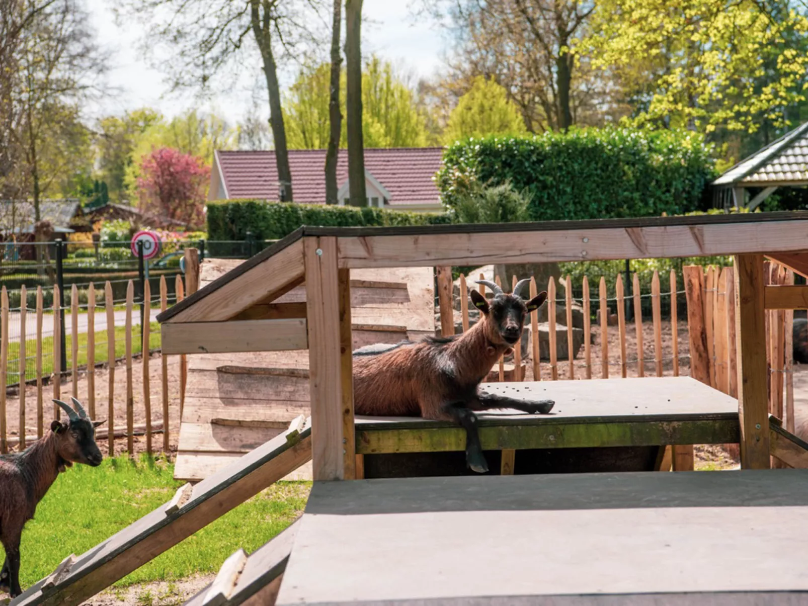 Boekhorst l'etage 10-Binnen