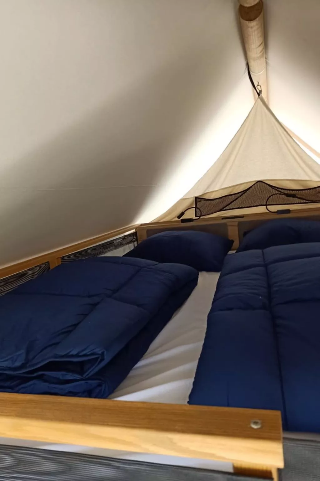 Glampingtent Papilio 4-Binnen