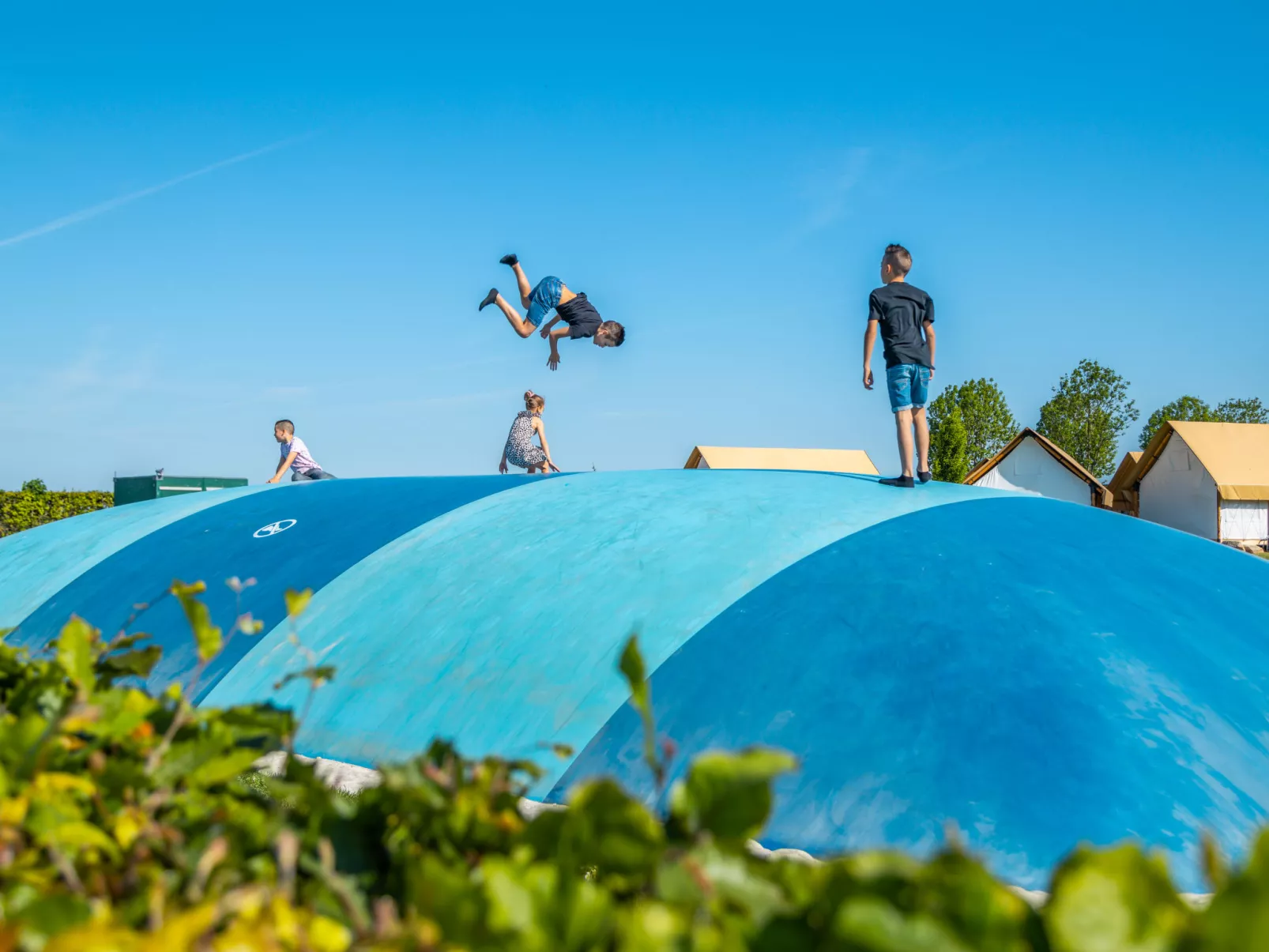 Glampingtent Papilio 4-Buiten