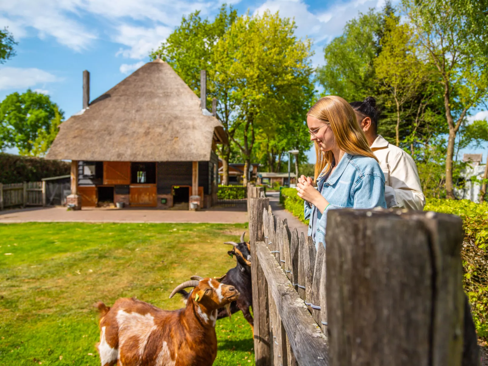 Lodgetent 4-Omgeving