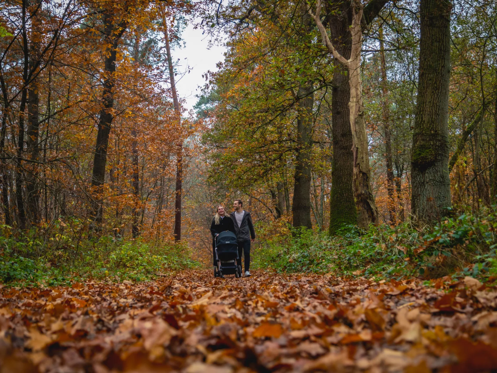 Forest Lodge 4-Buiten