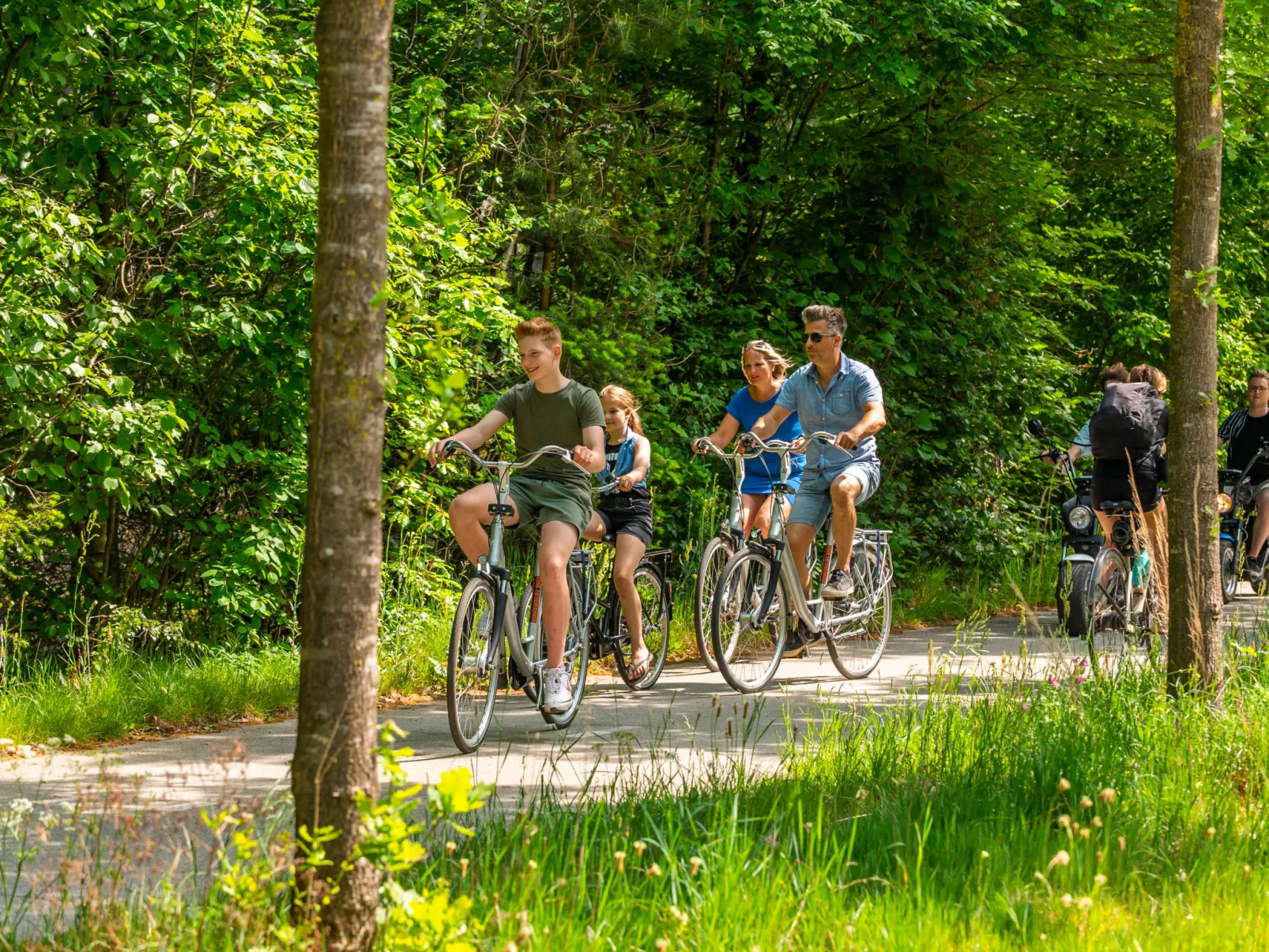 Villa Veluwe 6-Buiten