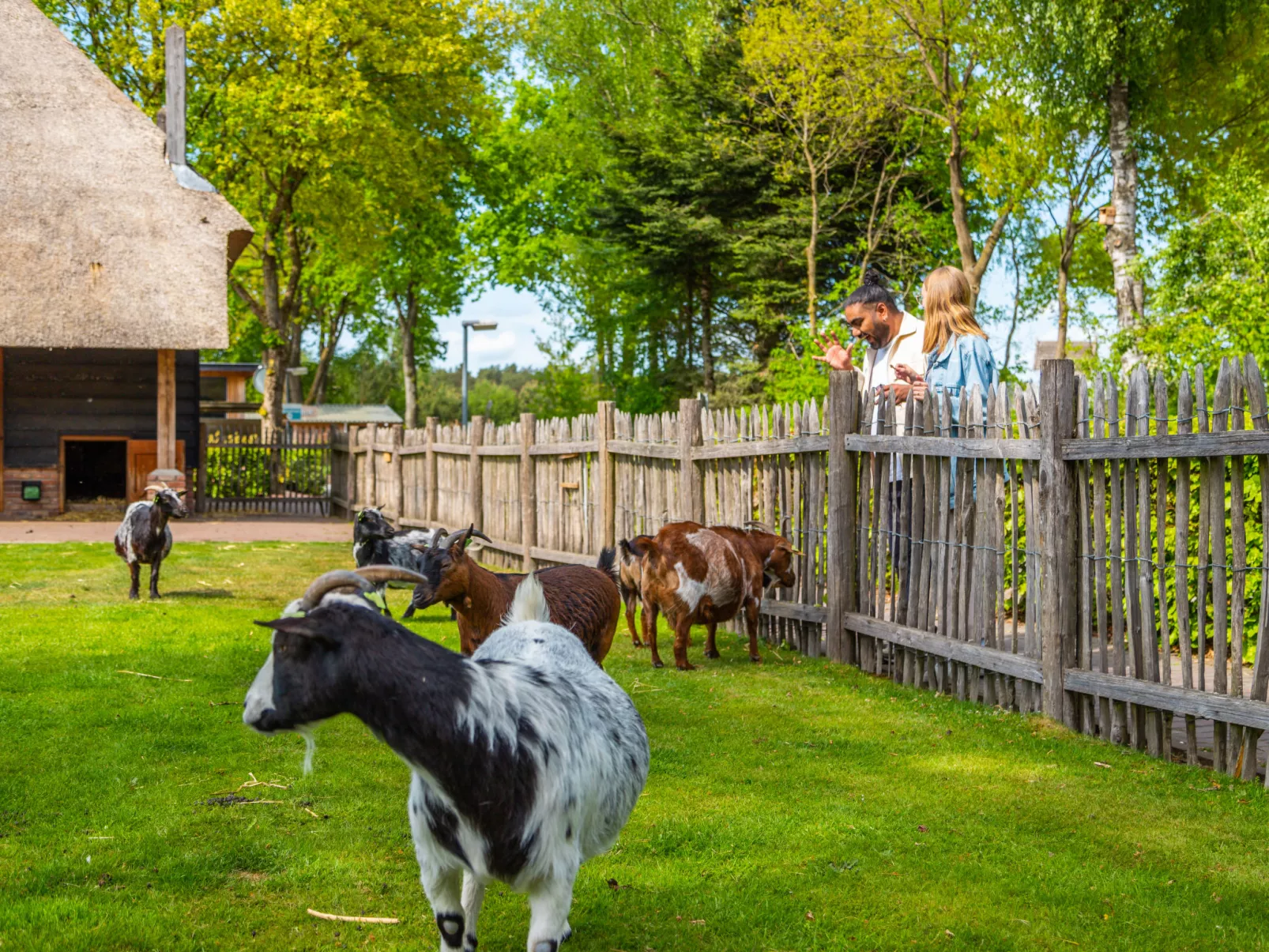 EuroParcs De Wije Werelt-Buiten