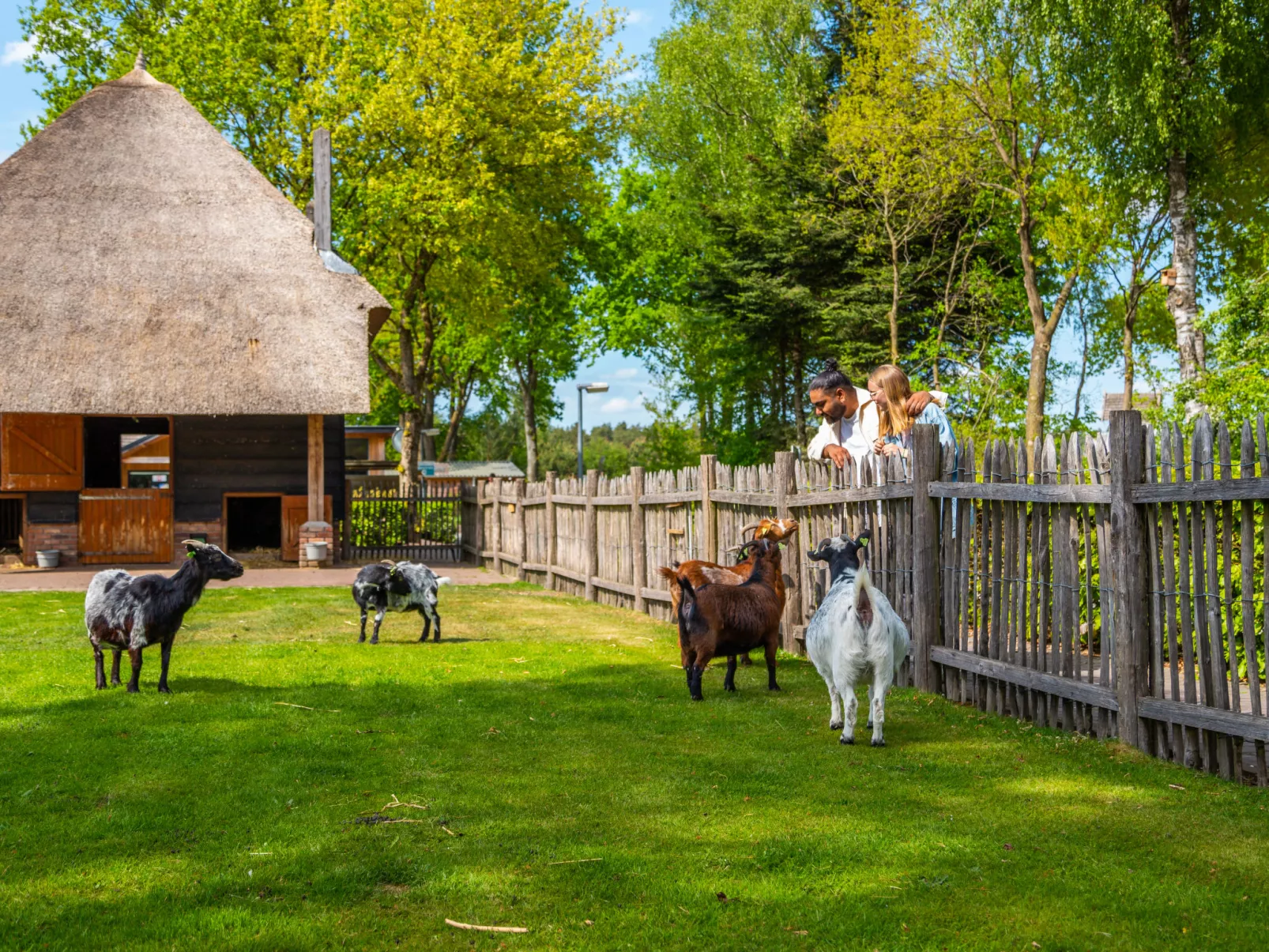 EuroParcs De Wije Werelt-Omgeving