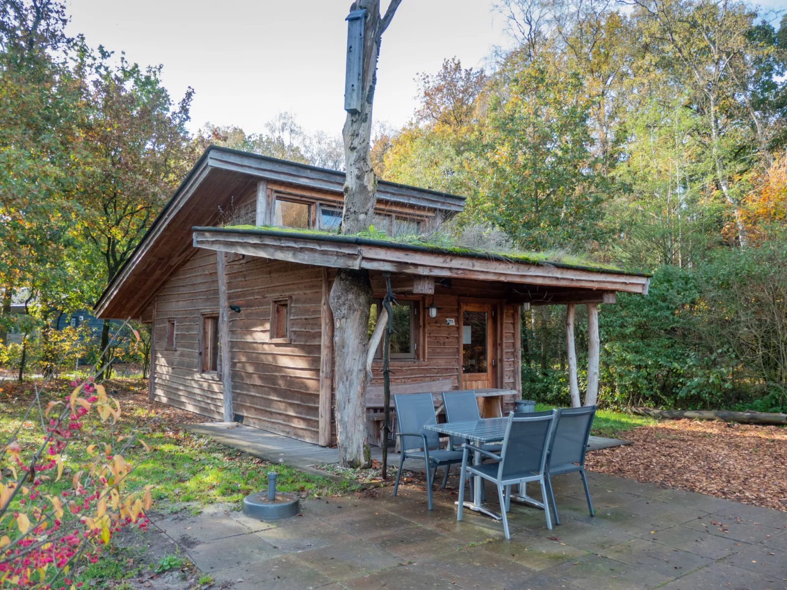 Natuurmonumenten 6-Buiten