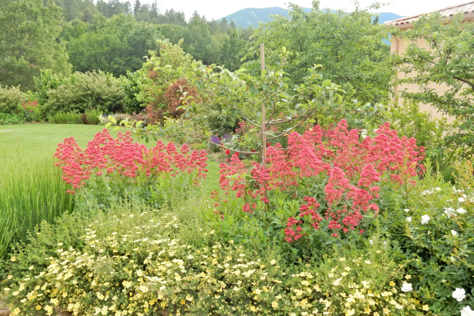 Studio - MONTBRUN-LES-BAINS-Tuinen zomer