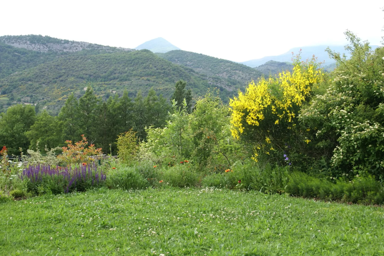 Studio - MONTBRUN-LES-BAINS-Tuinen zomer