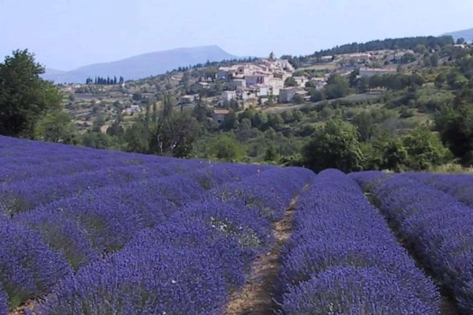 Studio - MONTBRUN-LES-BAINS-Gebieden zomer 1km