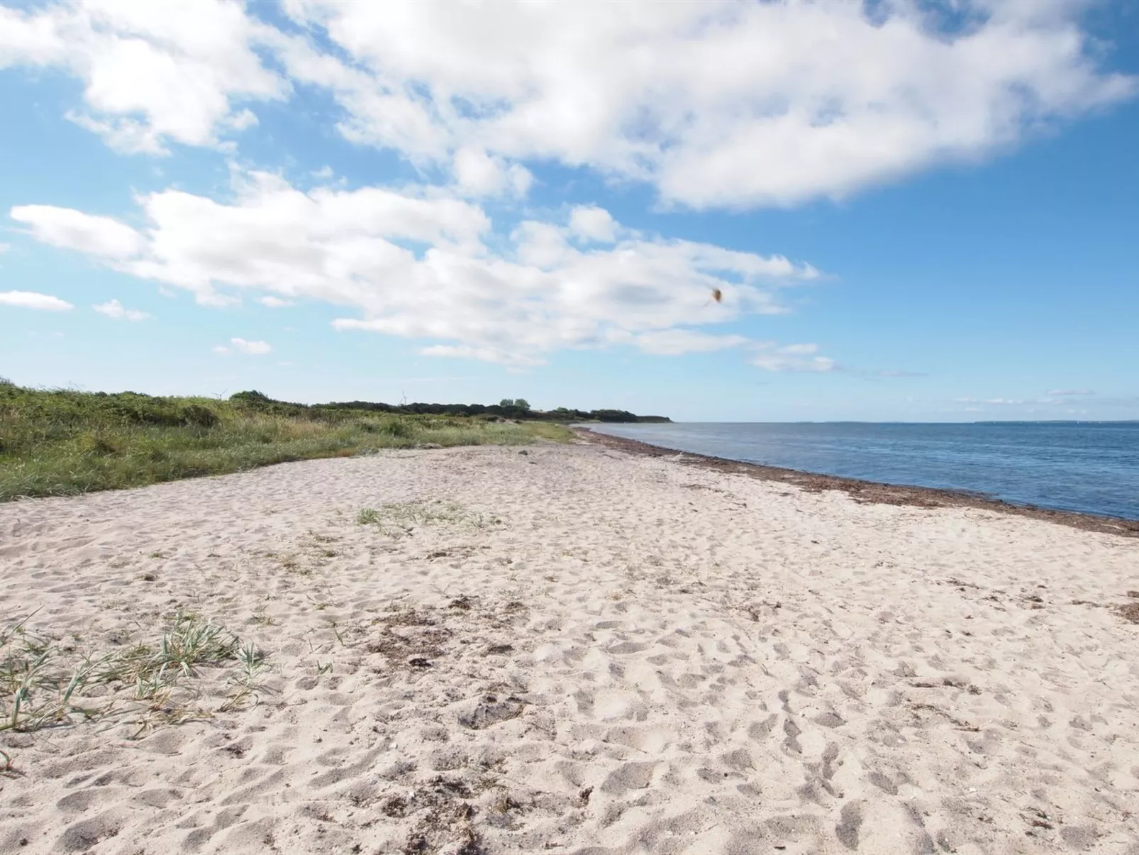 "Elisej" - 100m from the sea-Buiten