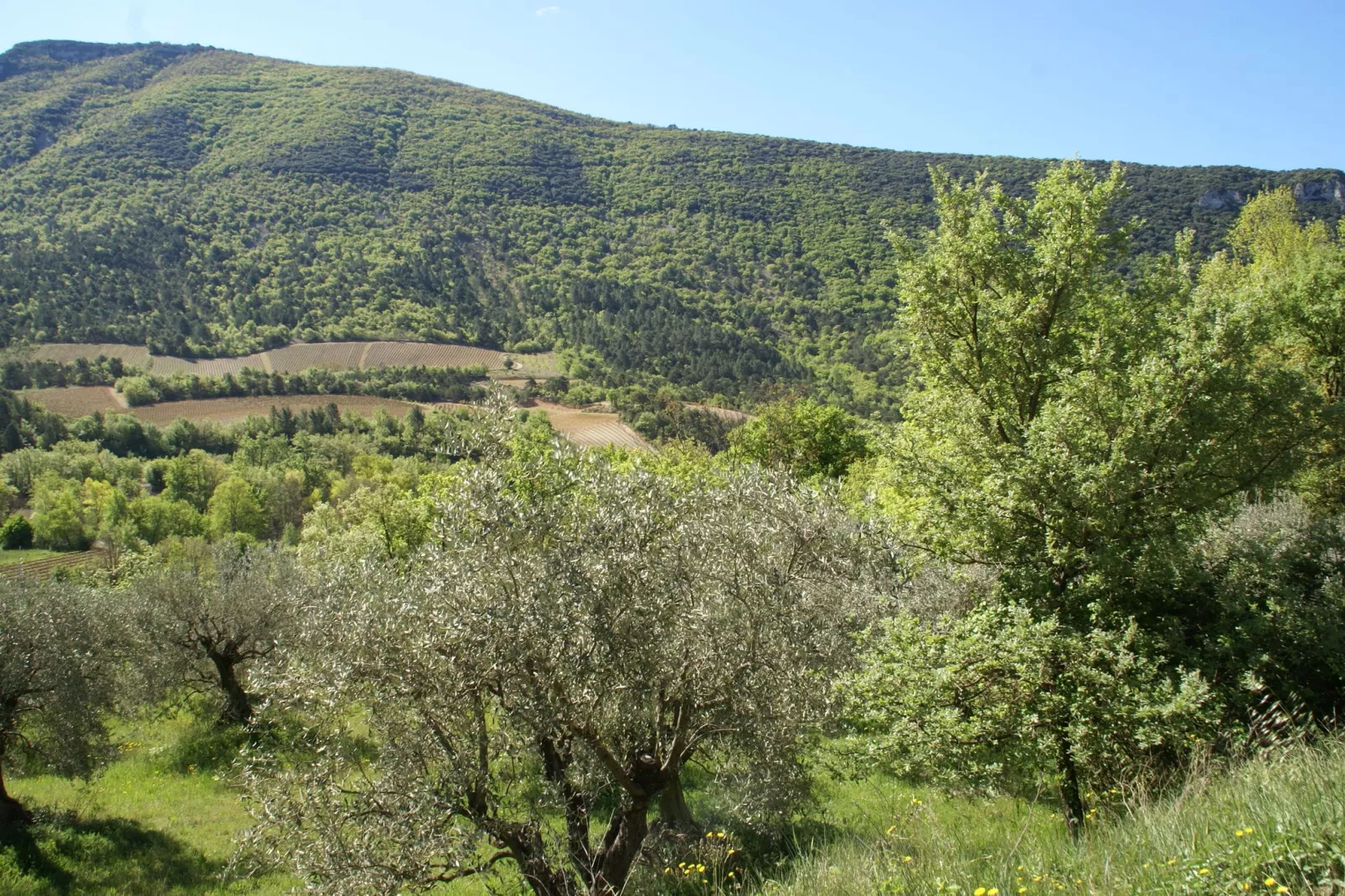 Studio - MONTBRUN-LES-BAINS-Gebieden zomer 5km