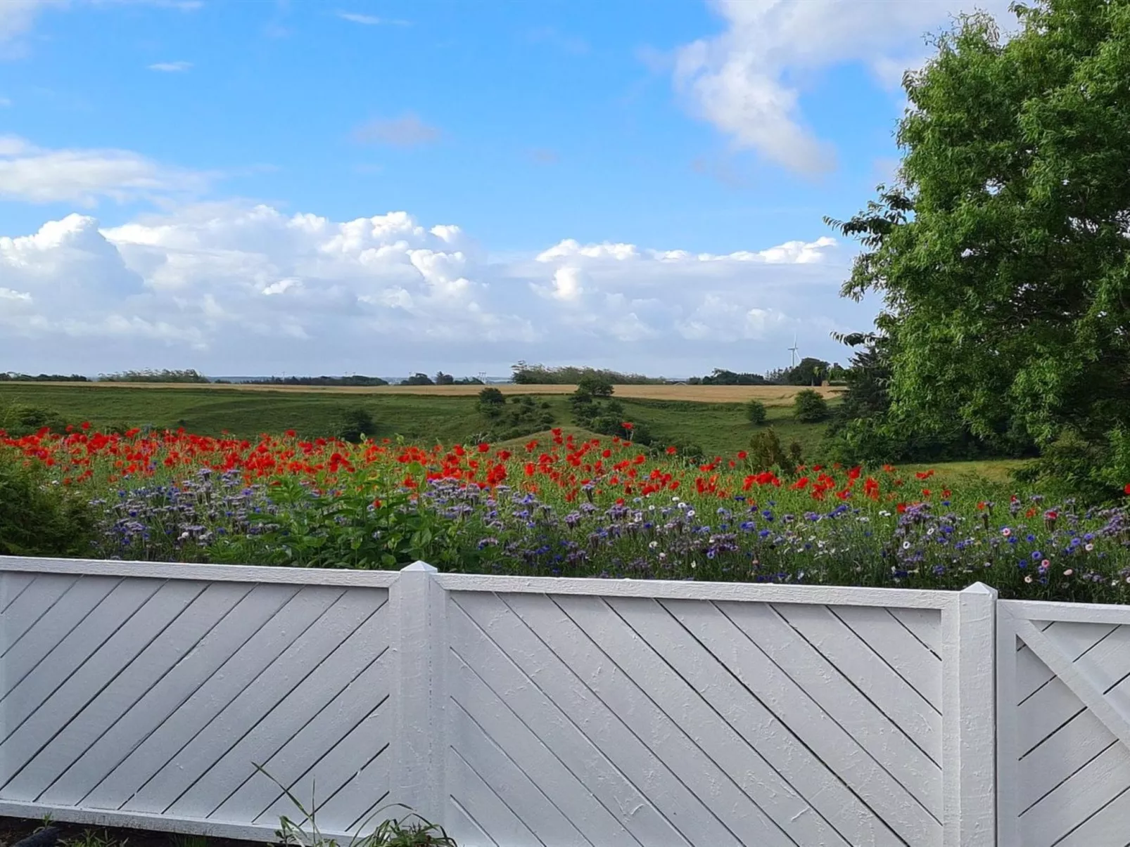 "Kiersten" - 5km from the sea-Buiten