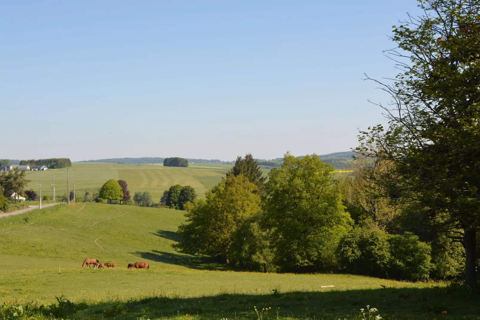 La Madeleine-Gebieden zomer 20km