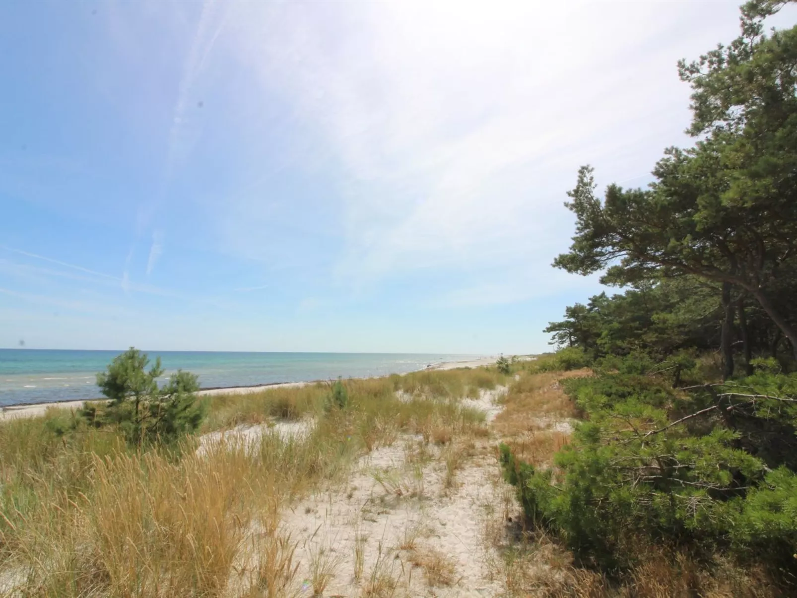 "Eftim" - 600m from the sea-Buiten