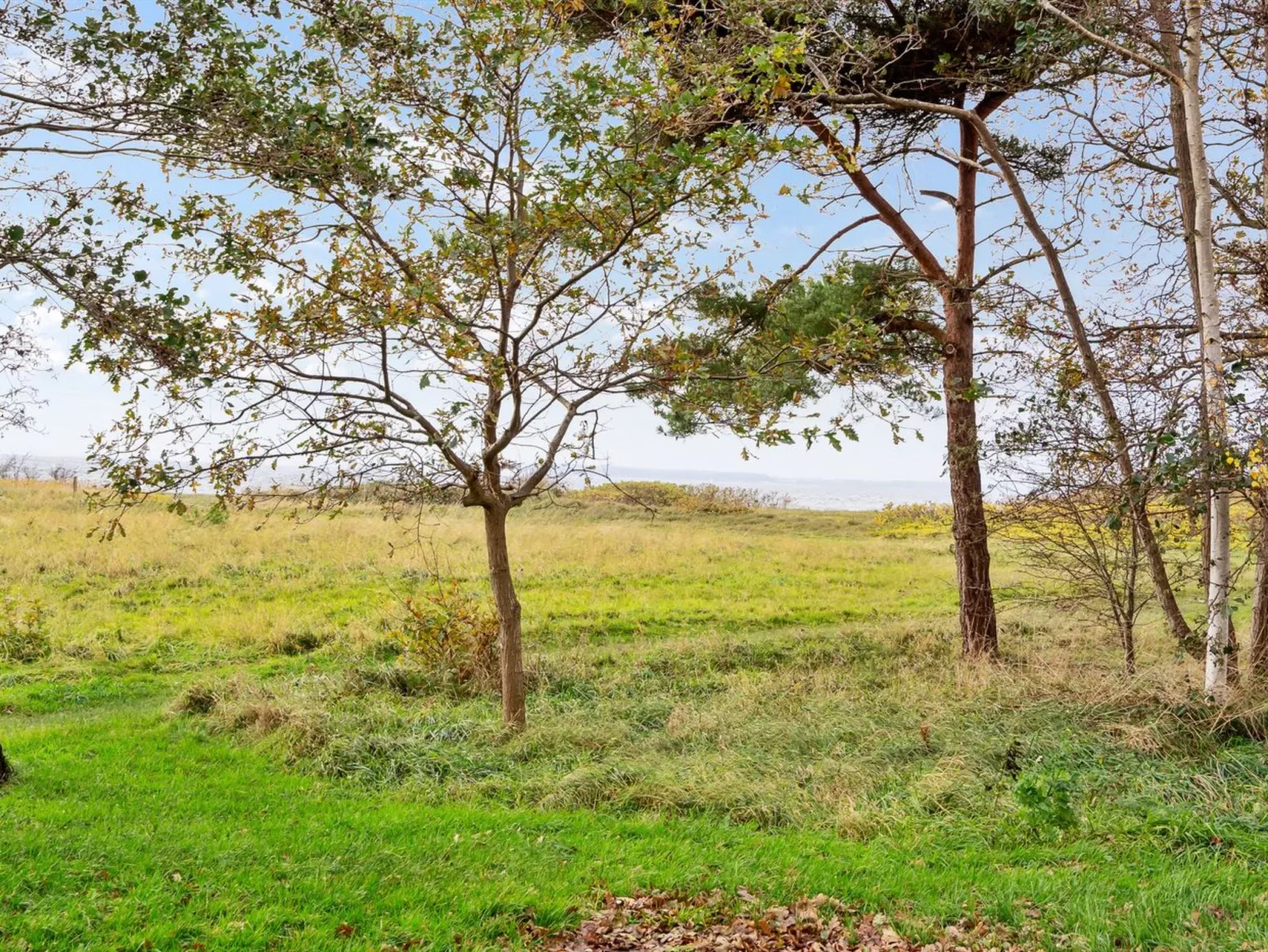 "Thara" - 100m from the sea-Buiten