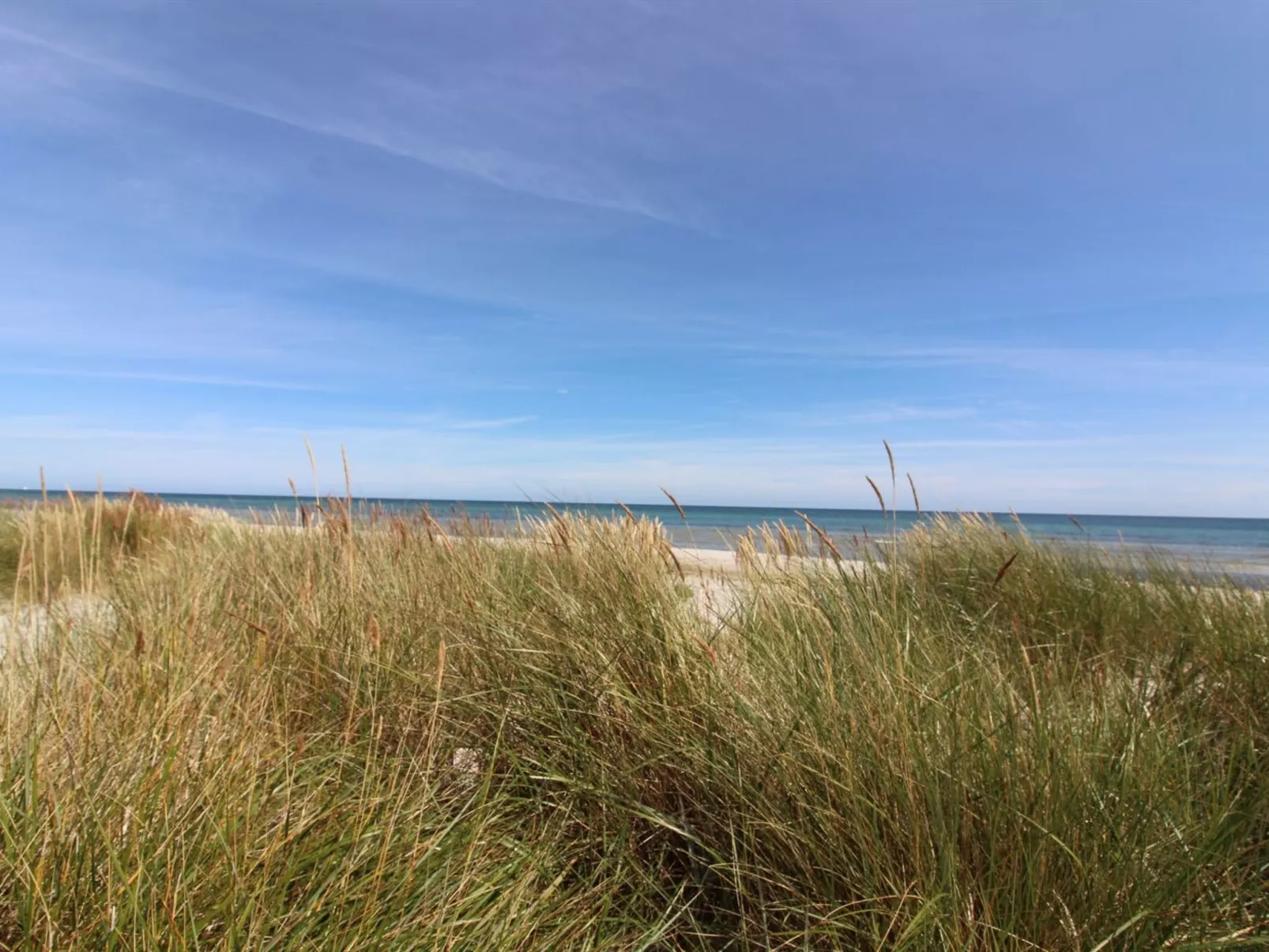 "Alita" - 300m from the sea-Buiten