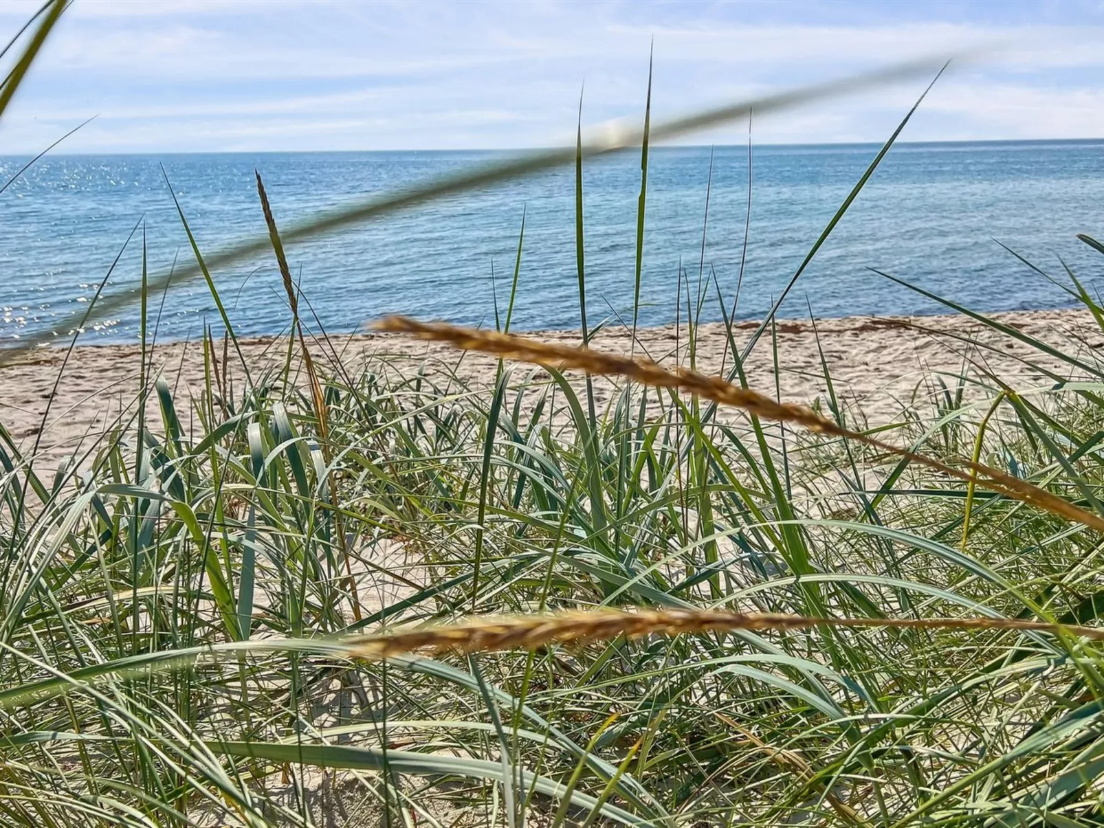"Alita" - 300m from the sea-Buiten