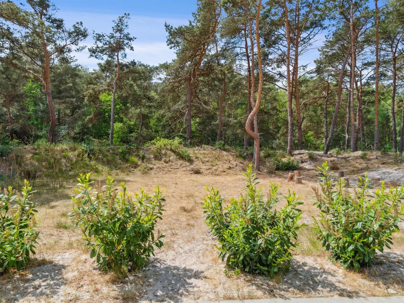 "Sjo" - 300m from the sea-Buiten