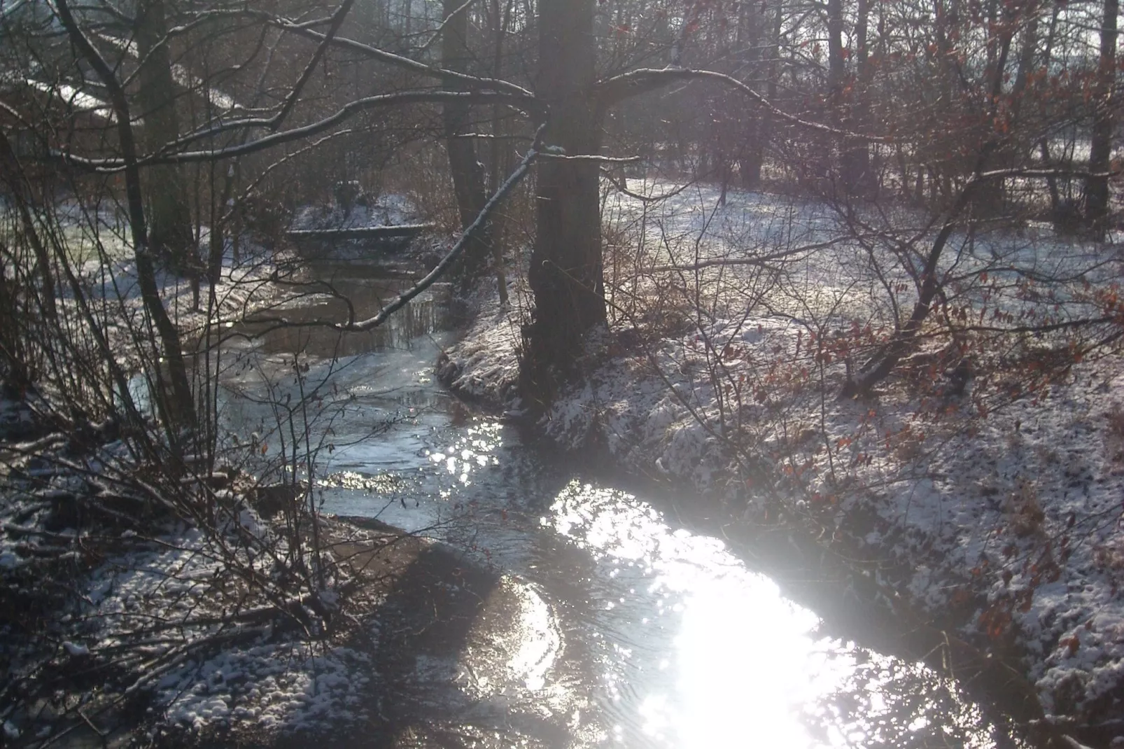 Masblette-Gebied winter 5km