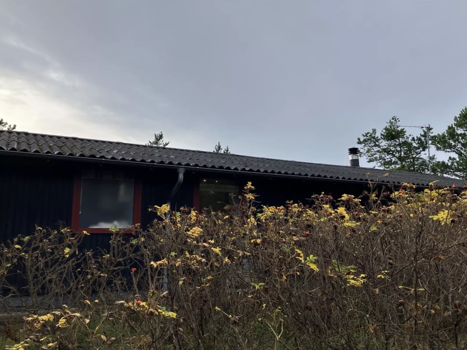 "Vemund" - 300m from the sea-Buiten