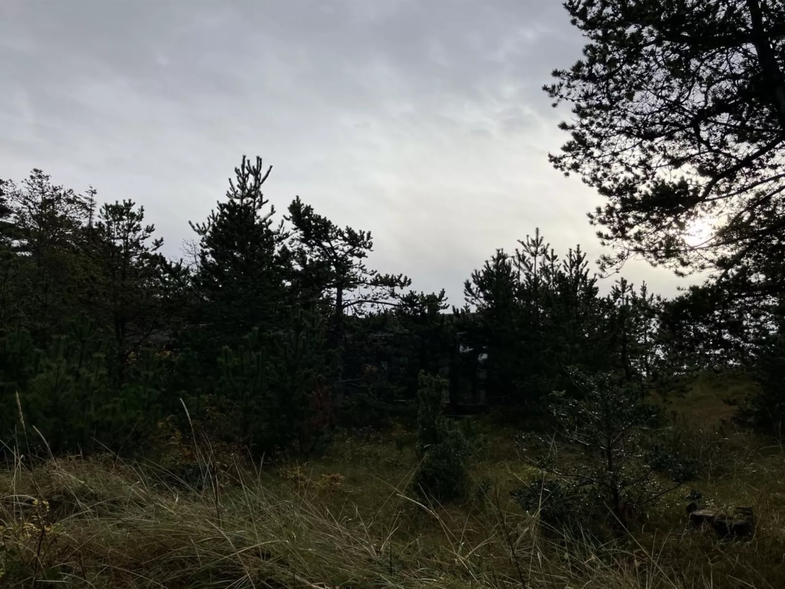 "Vemund" - 300m from the sea-Buiten