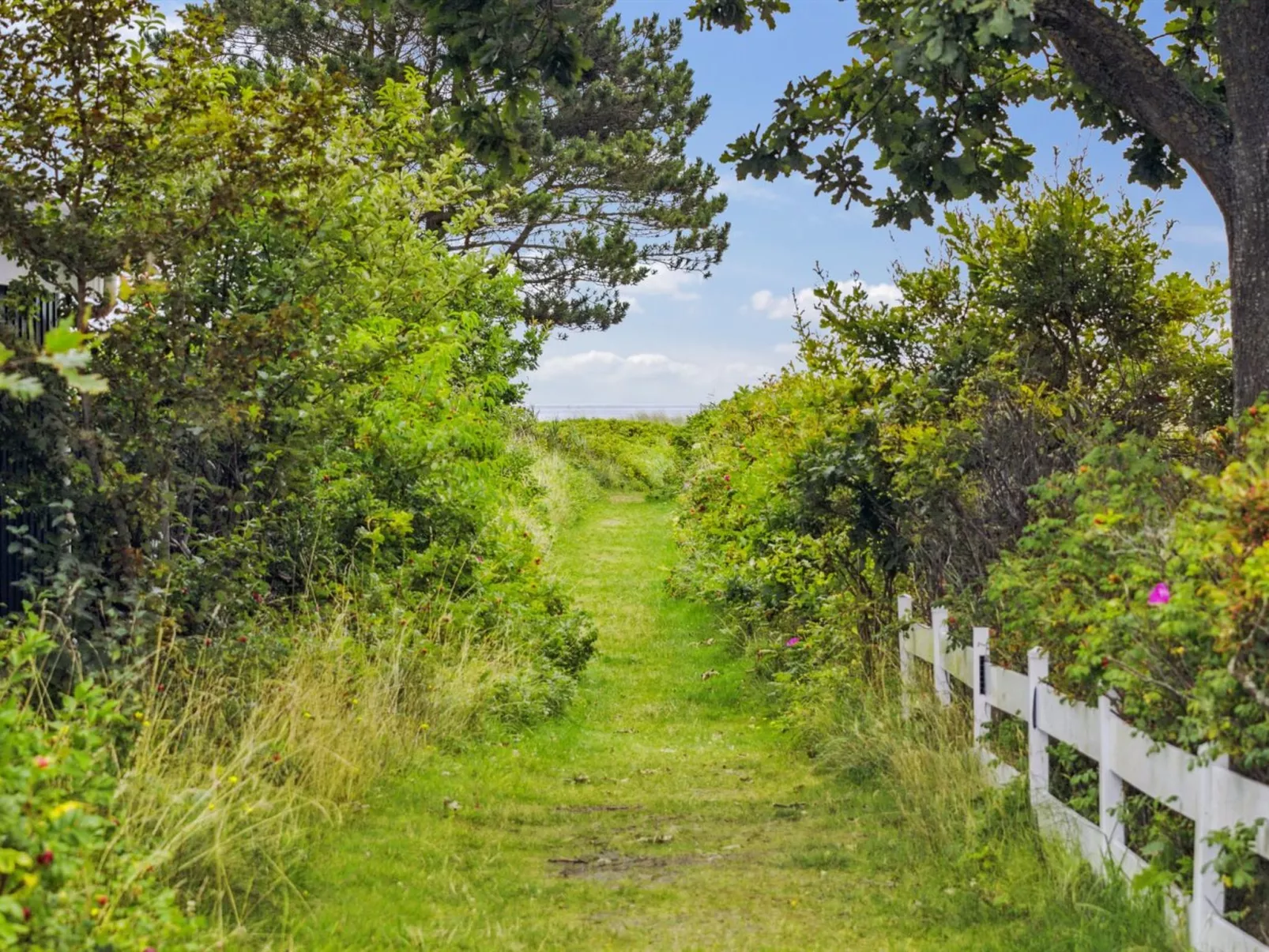 "Akseline" - 300m from the sea-Buiten