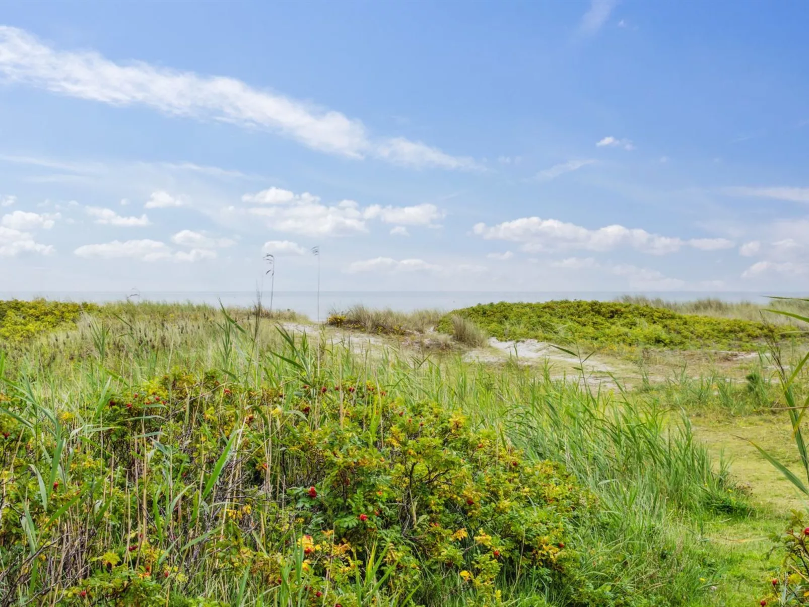"Akseline" - 300m from the sea-Buiten