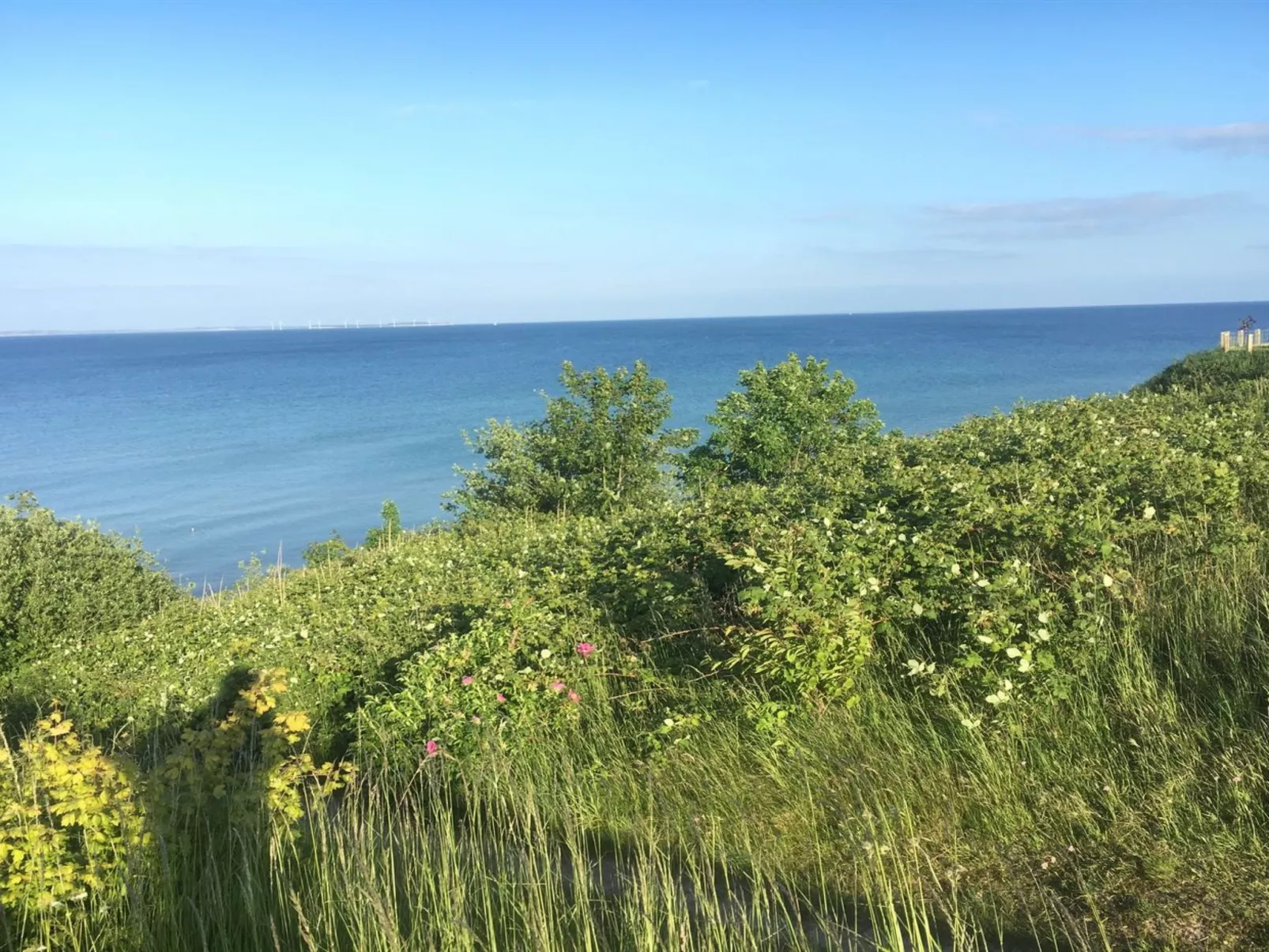 "Rikus" - 300m from the sea-Buiten