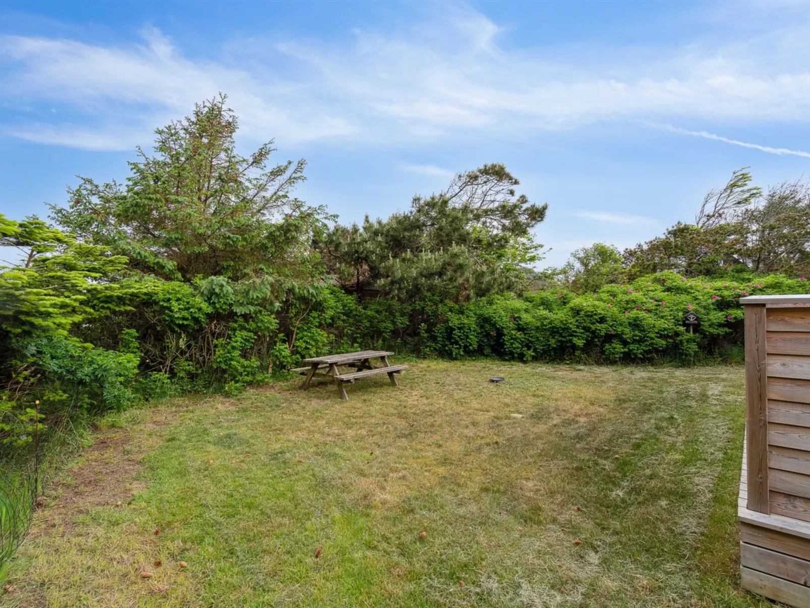 "Ferdinando" - 800m from the sea-Buiten