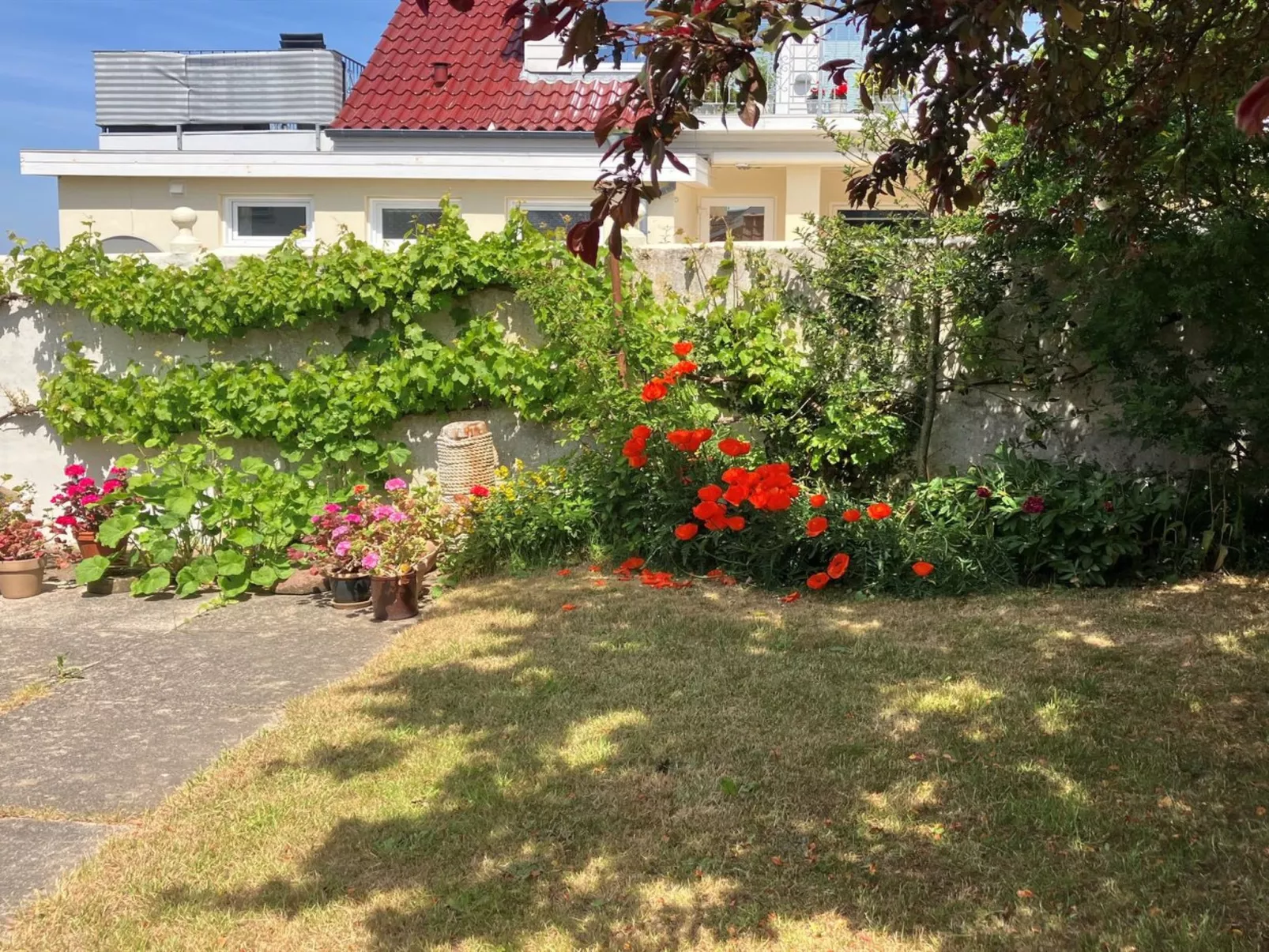 "Merete" - 50m from the sea-Buiten