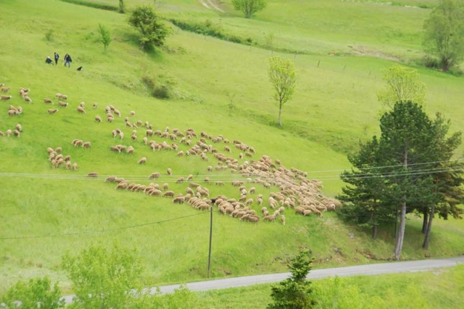 Maison de vacances - LUS-LA CROIX-HAUTE-Gebieden zomer 1km