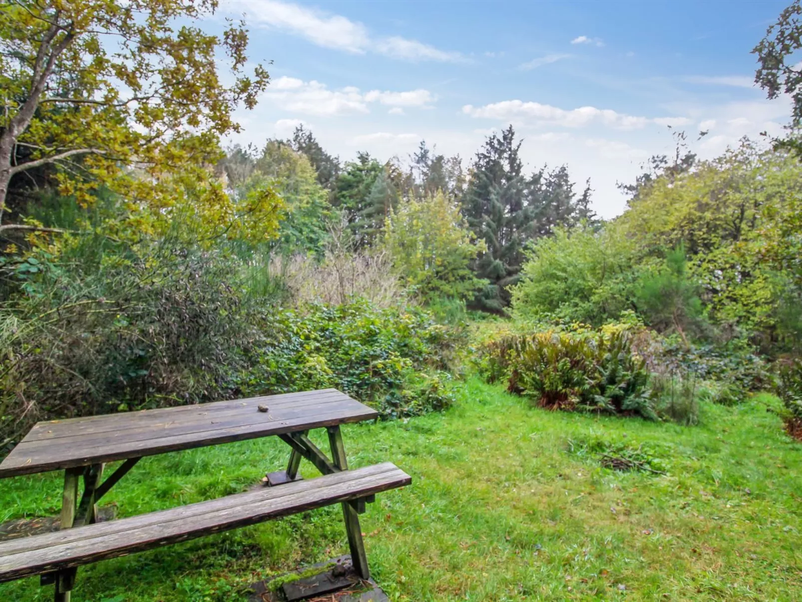 "Muriel" - 1.1km from the sea-Buiten
