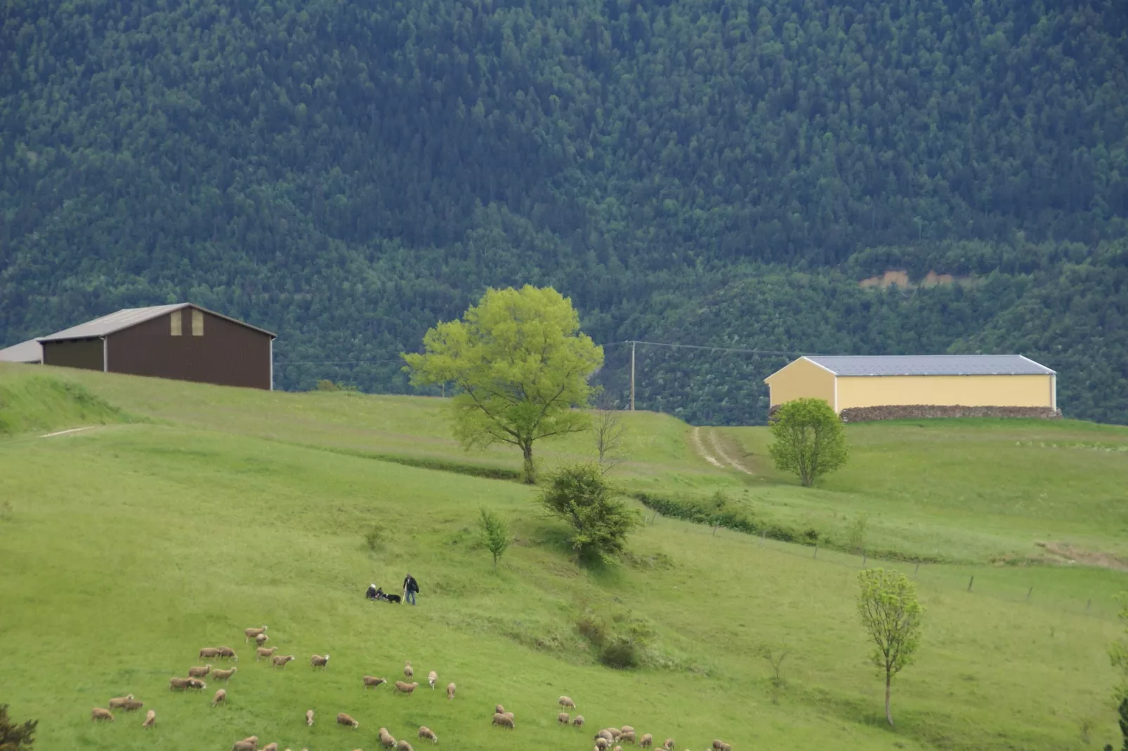 Maison de vacances - LUS-LA CROIX-HAUTE-Gebieden zomer 1km