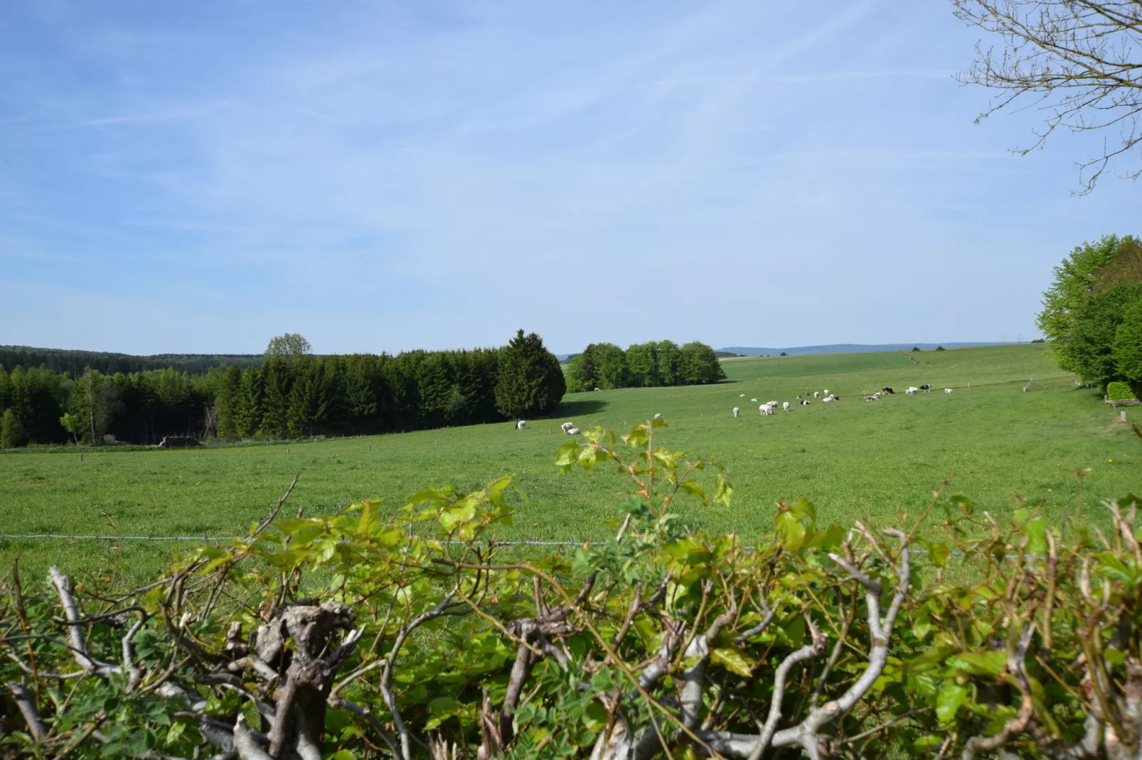 Le Mirador-Gebieden zomer 1km