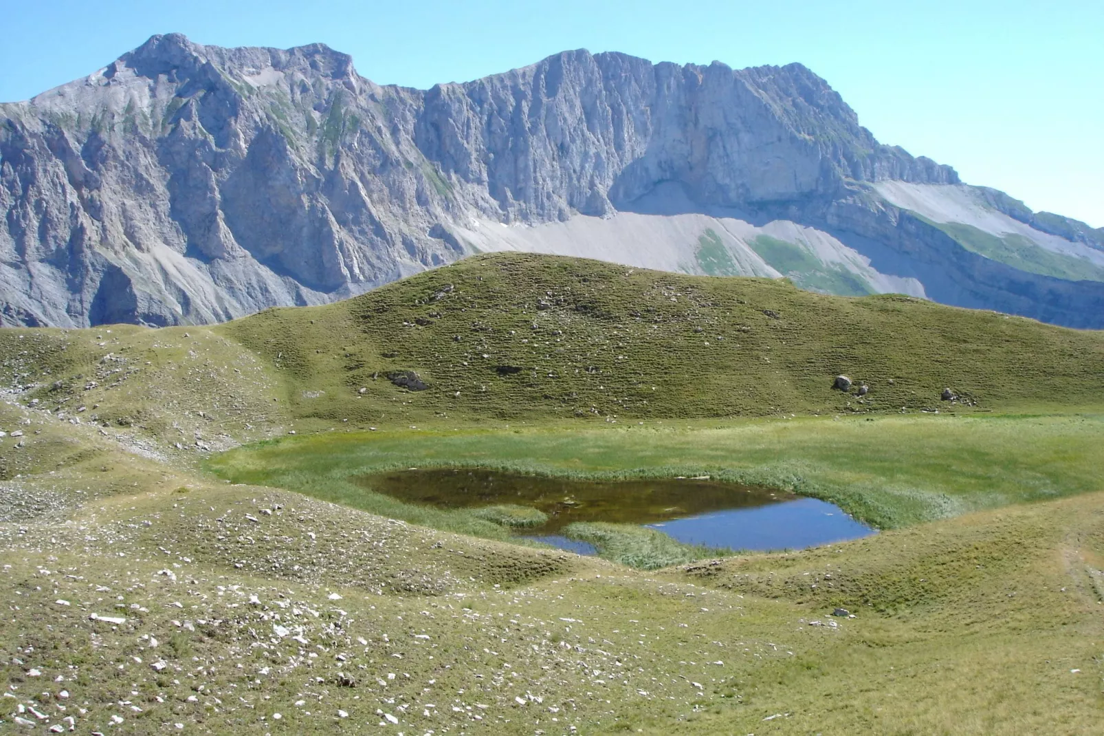 Maison de vacances - LUS-LA CROIX-HAUTE-Gebieden zomer 20km