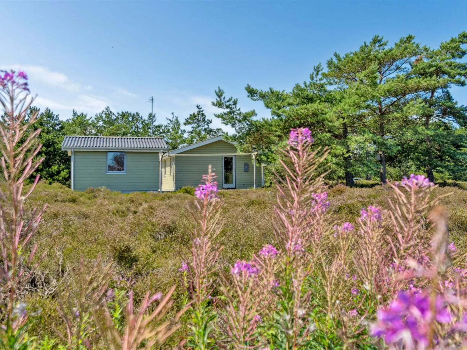 "Alwine" - 250m from the sea-Binnen