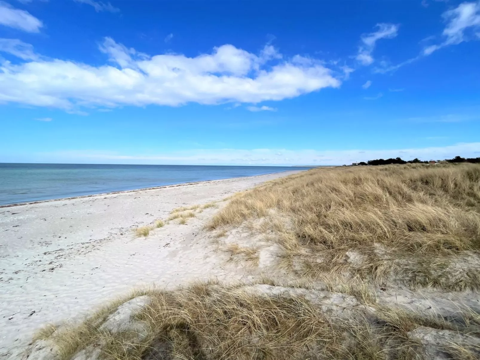 "Alessandra" - 175m from the sea-Buiten