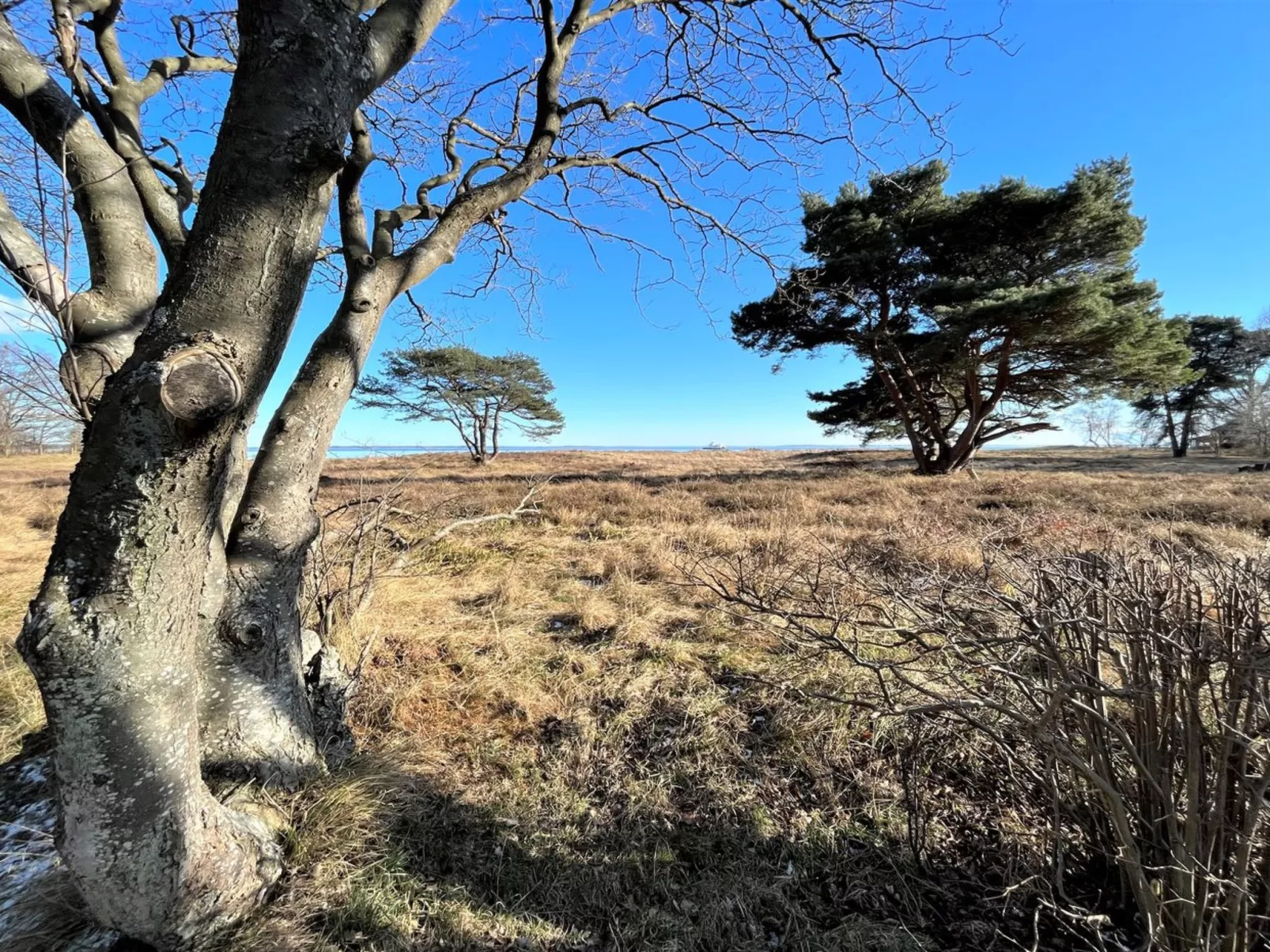 "Toska" - 100m to the inlet-Buiten