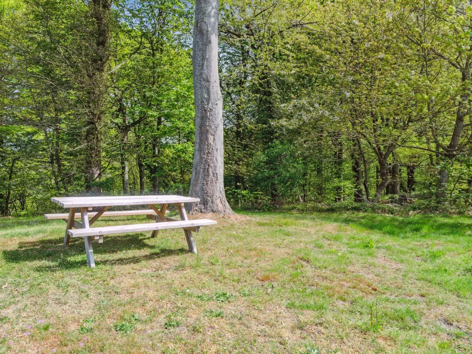 "Agga" - 500m from the sea-Buiten