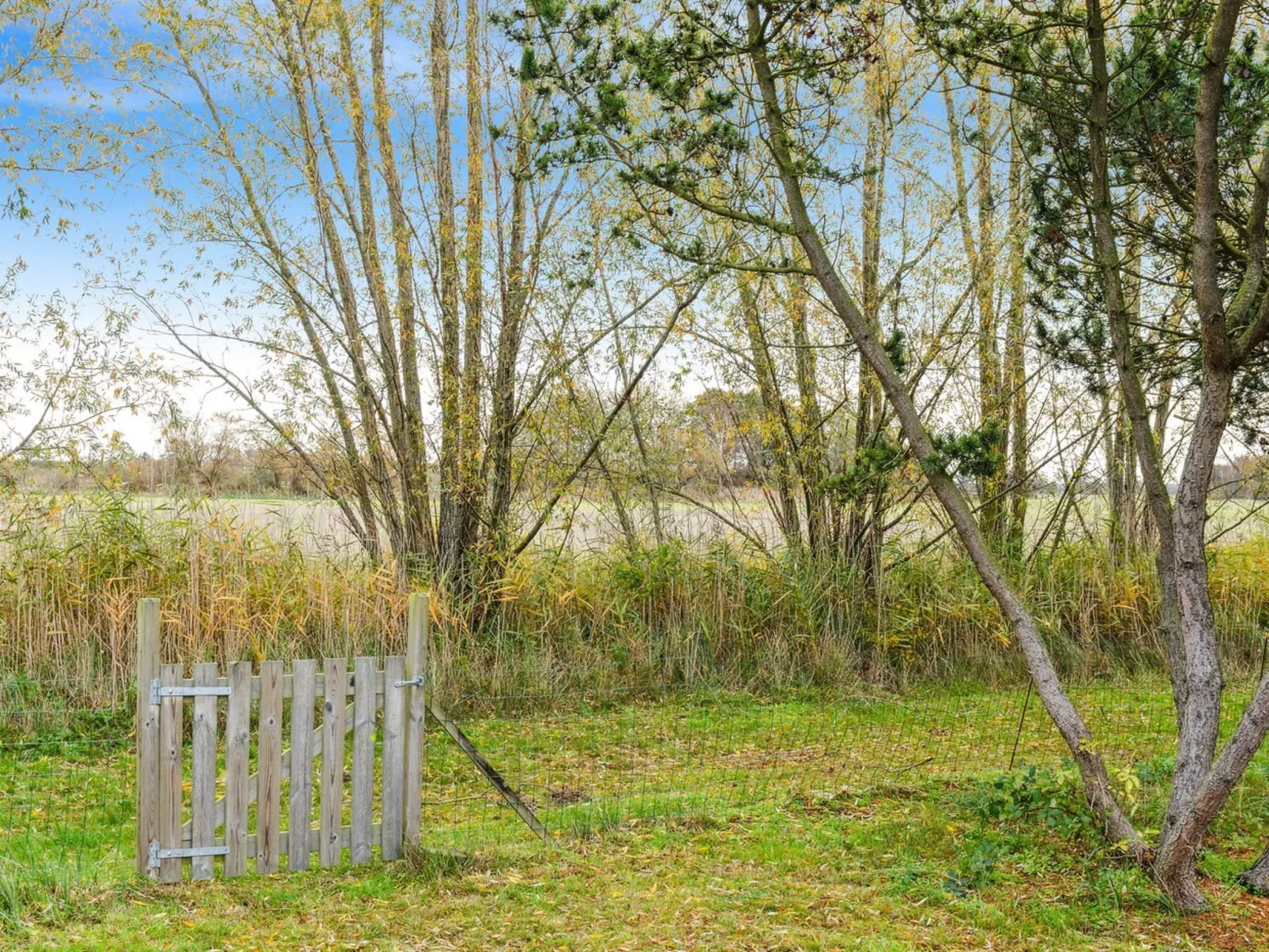 "Arendine" - 700m from the sea-Buiten