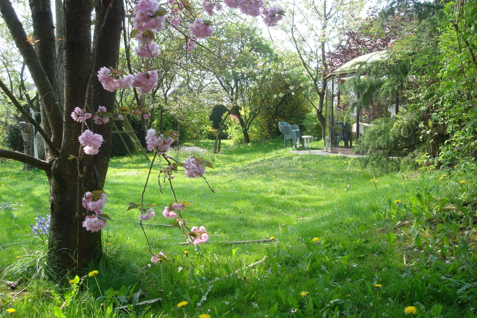 La Belle Jardinière-Tuinen zomer