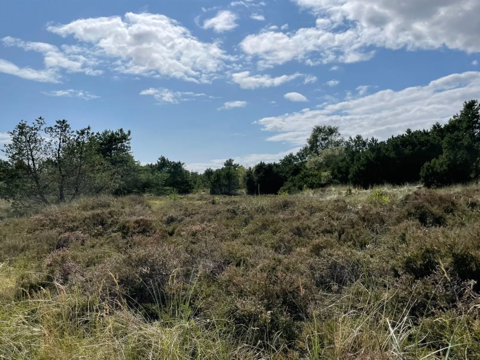 "Ertan" - 500m from the sea-Buiten