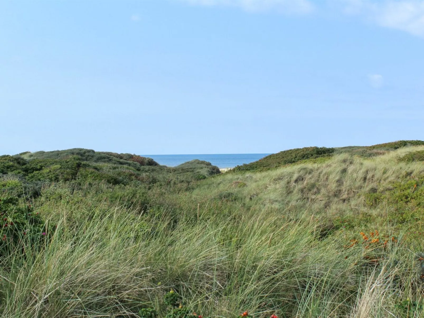 "Eunike" - 300m from the sea-Buiten