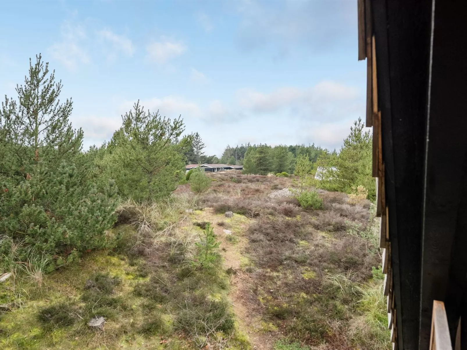 "Reijo"-Buiten