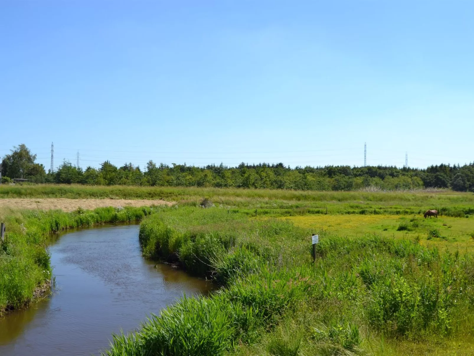 "Ahvo" - 22km from the sea-Buiten